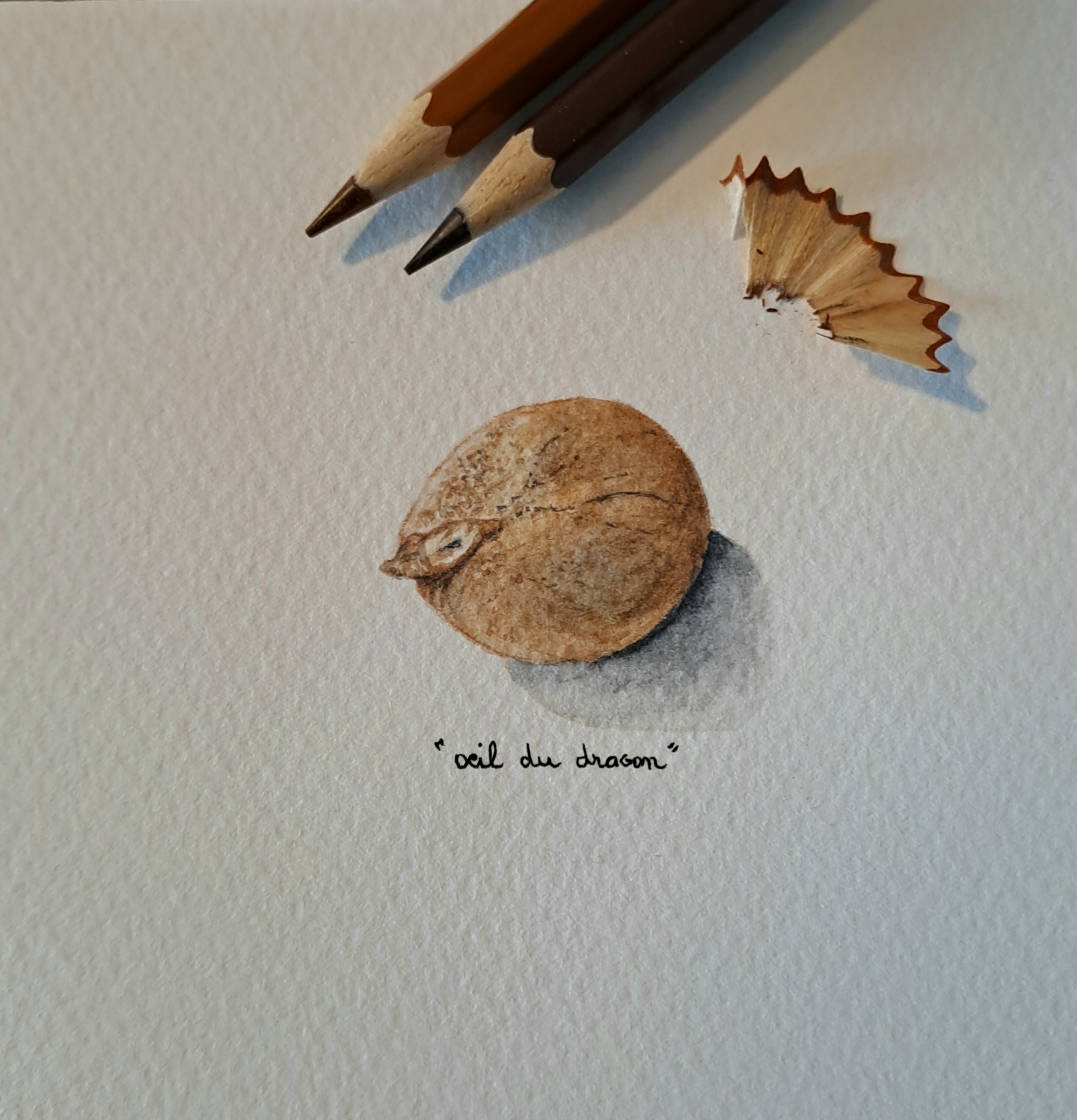 Oeil du dragon - Kuala Lumpur (miniature 4x4 cm)