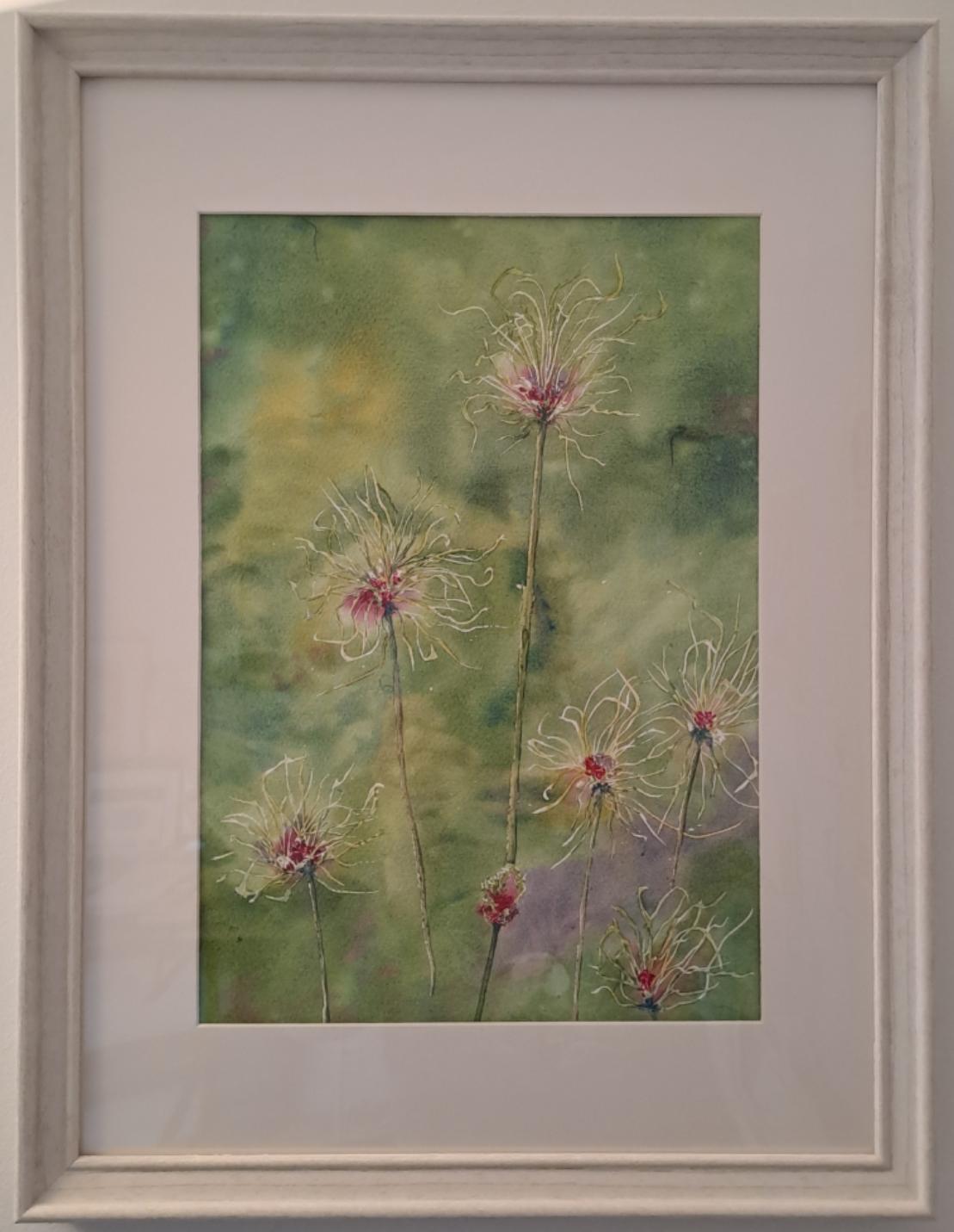 Allium "hair"