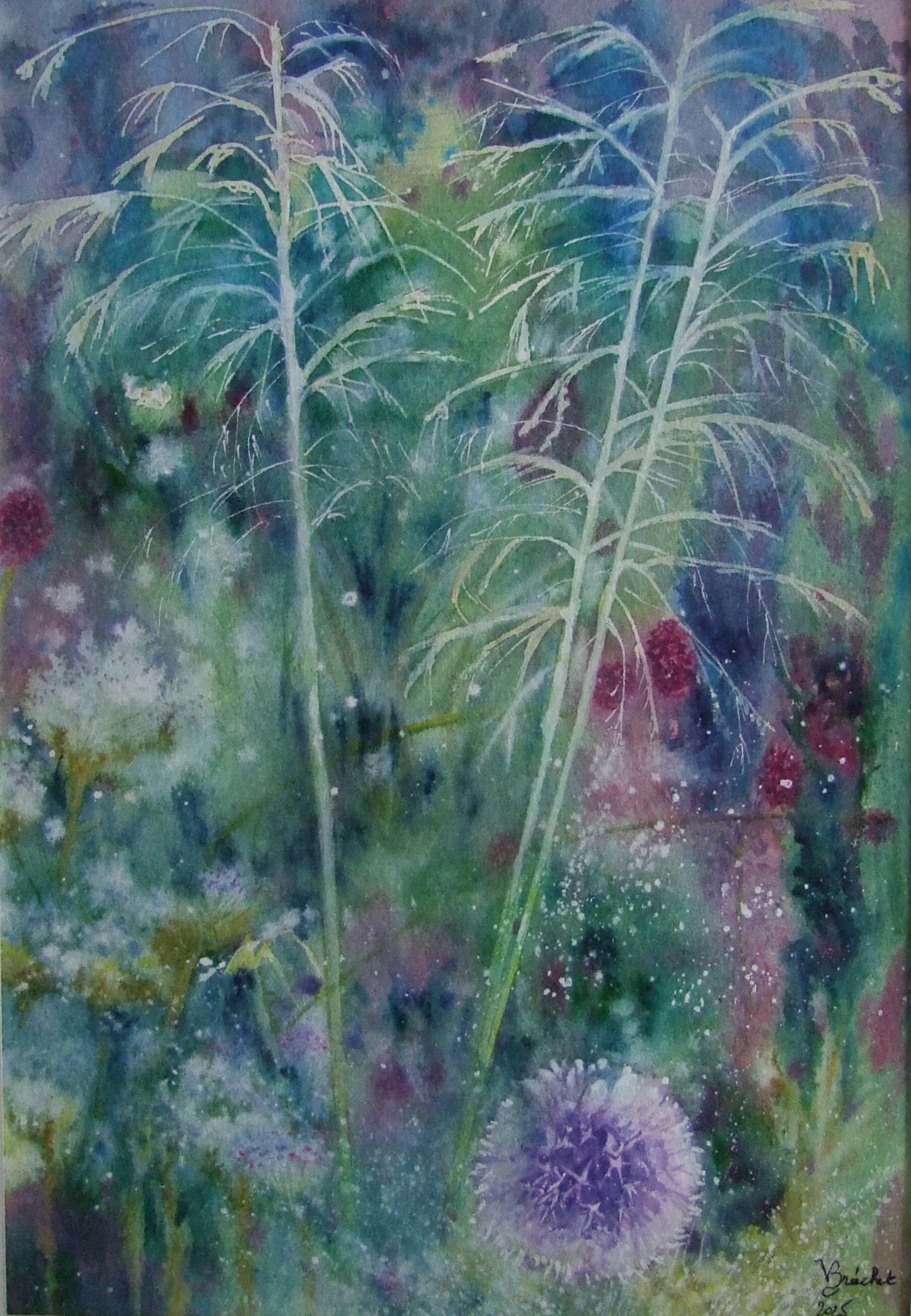 Jardin fleuri