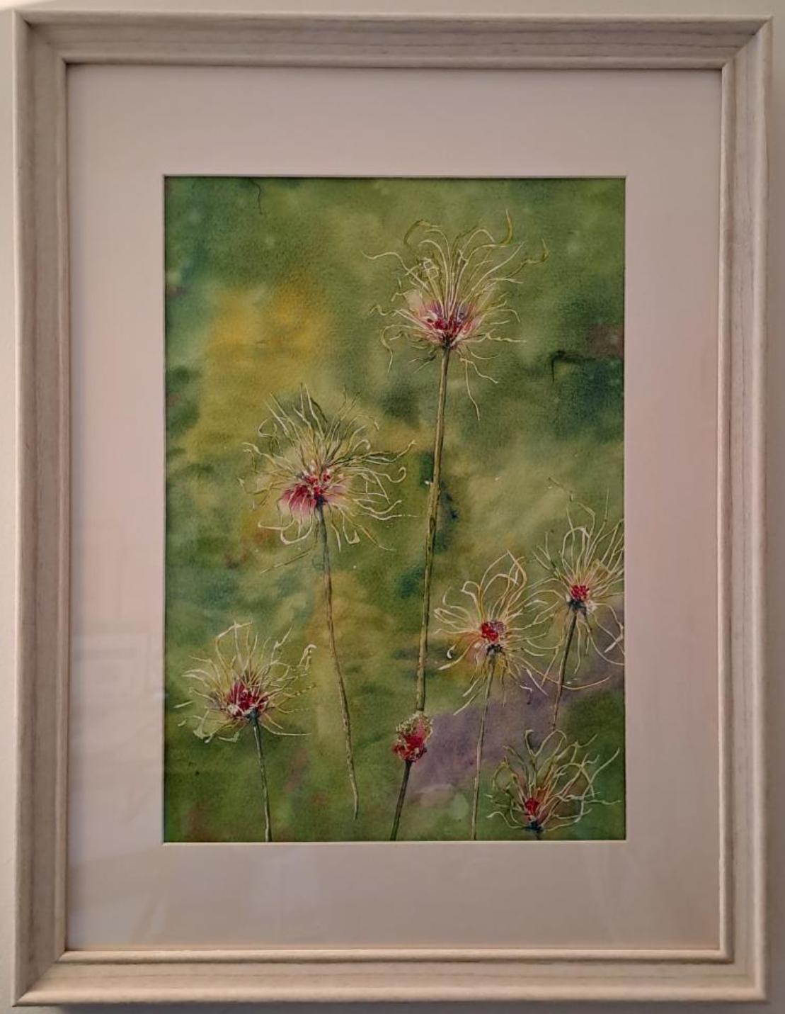 Allium "hair"