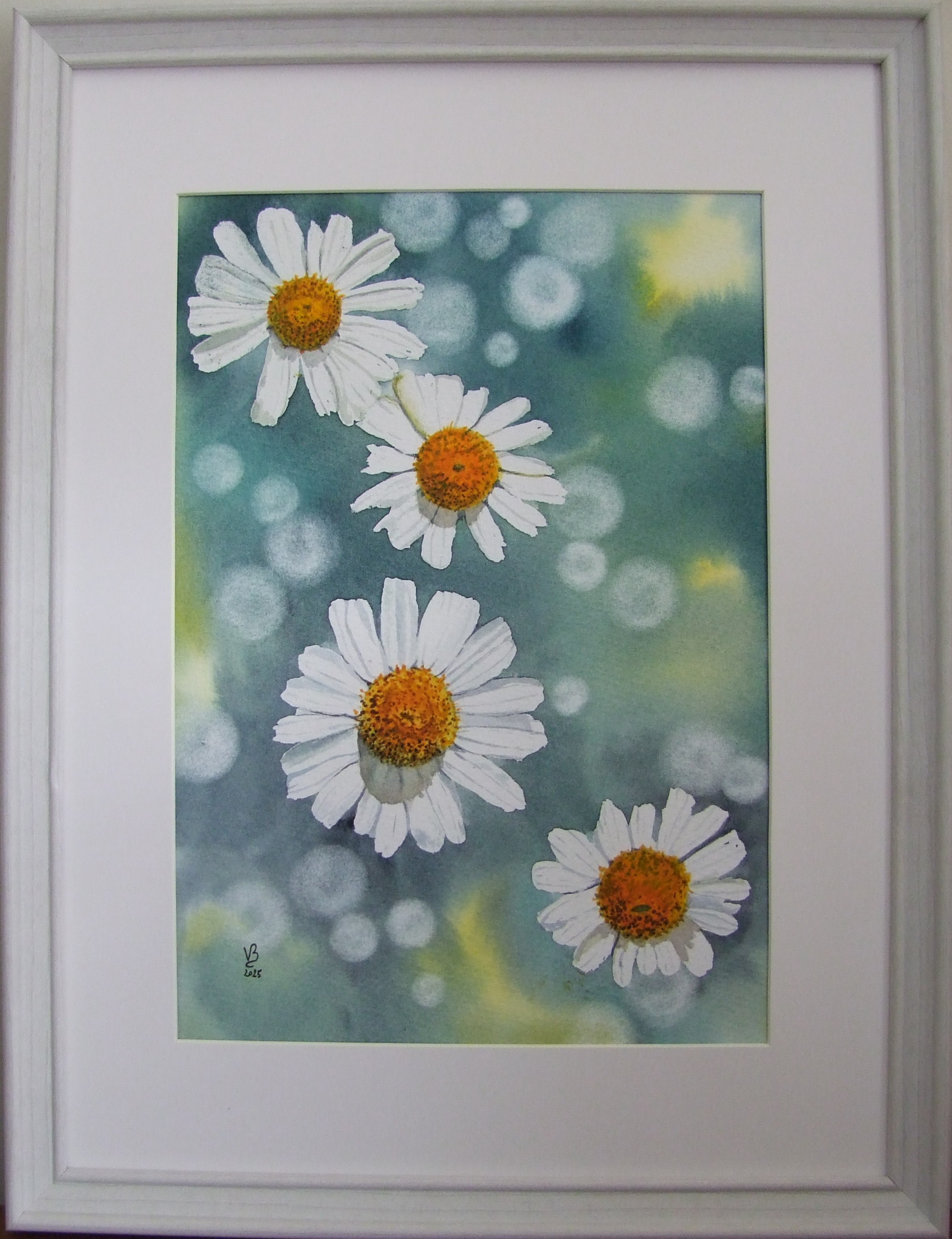 Marguerites d'été
