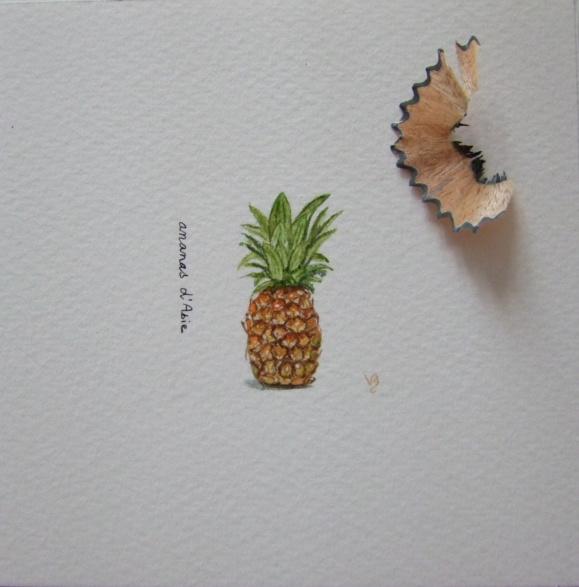 Ananas d'Asie (miniature 4x4 cm)