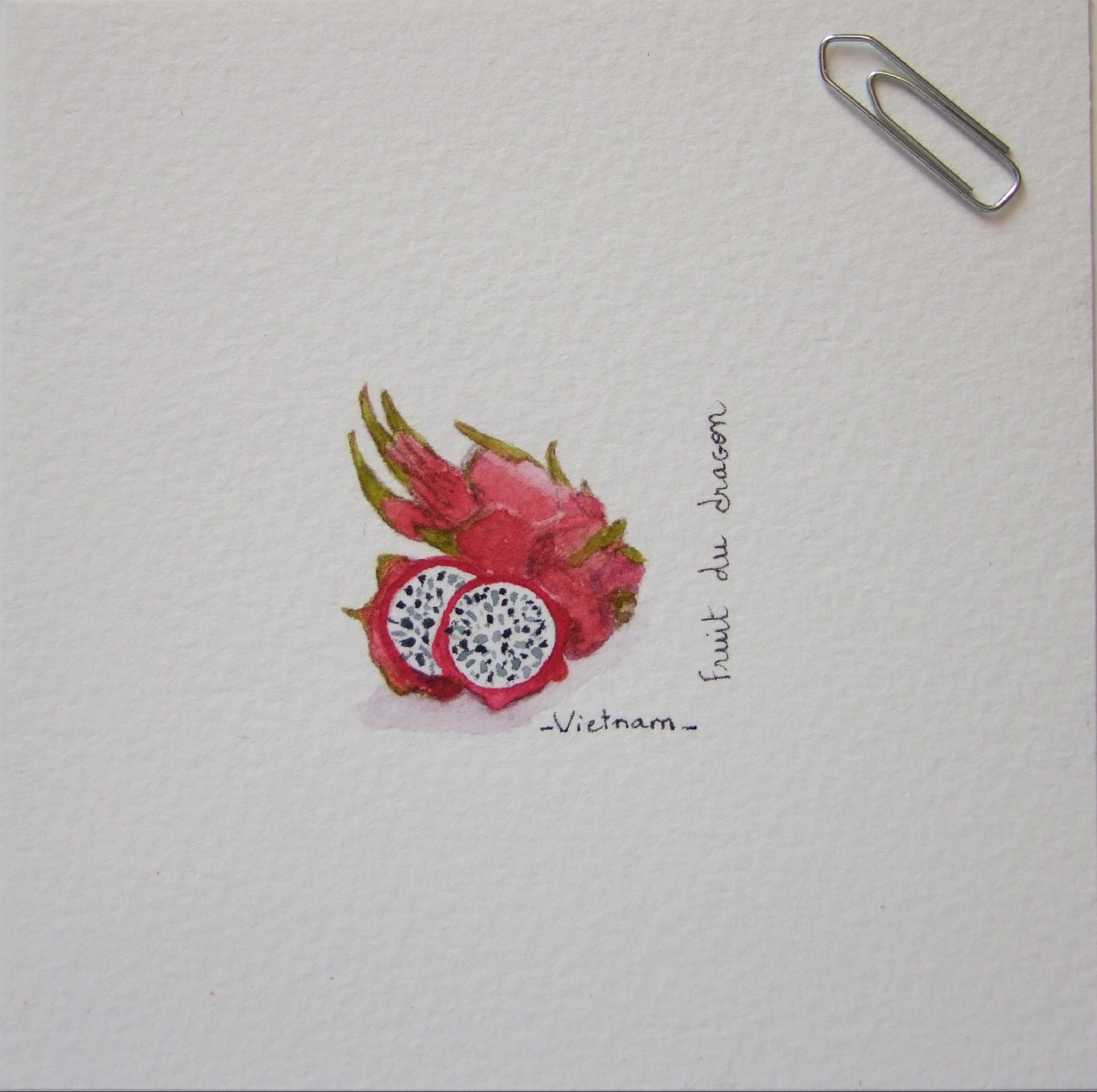 Fruit du dragon - Vietnam (miniature 4x4 cm)